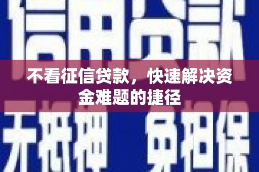 秀林不看征信贷款，快速解决资金难题的捷径