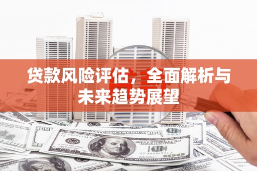 秀林贷款风险评估，全面解析与未来趋势展望