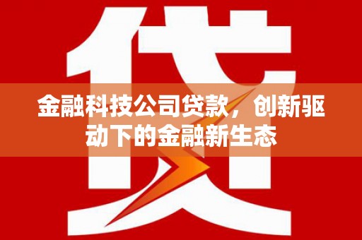 秀林金融科技公司贷款，创新驱动下的金融新生态