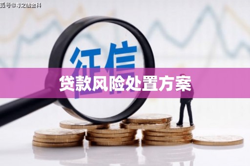 秀林贷款风险处置方案