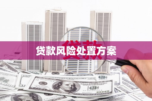 秀林贷款风险处置方案