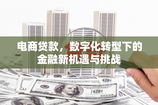 秀林电商贷款，数字化转型下的金融新机遇与挑战