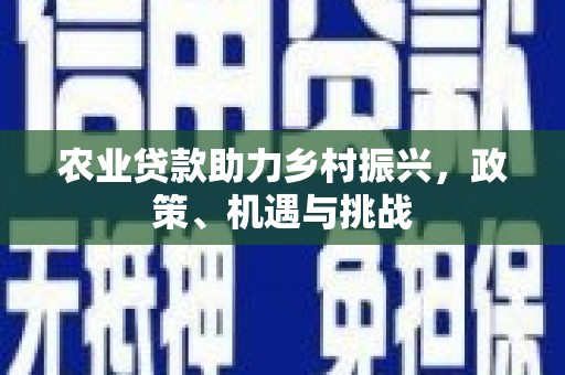 秀林农业贷款助力乡村振兴，政策、机遇与挑战