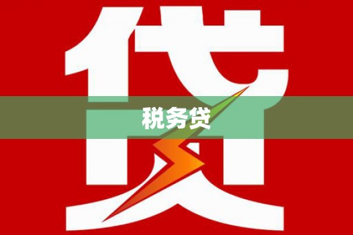 秀林税务贷
