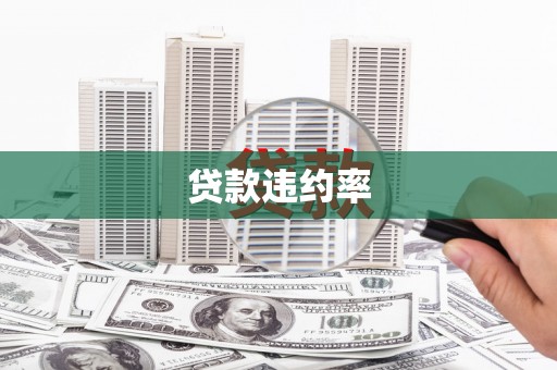 秀林贷款违约率