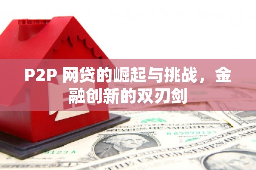 秀林P2P 网贷的崛起与挑战，金融创新的双刃剑