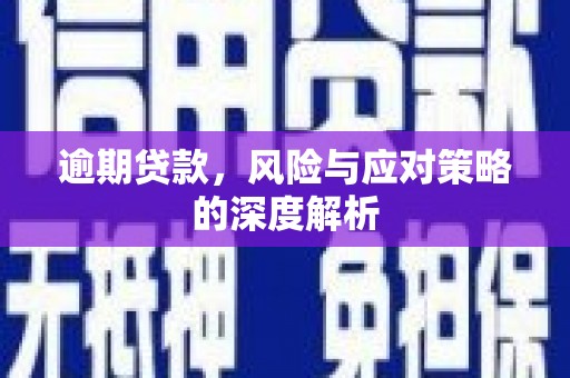秀林逾期贷款，风险与应对策略的深度解析