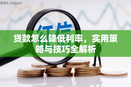 秀林贷款怎么降低利率，实用策略与技巧全解析