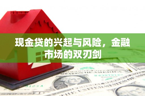 秀林现金贷的兴起与风险，金融市场的双刃剑