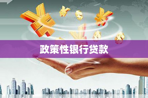 秀林政策性银行贷款