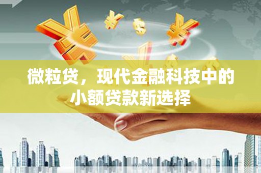 秀林微粒贷，现代金融科技中的小额贷款新选择