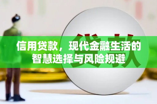 秀林信用贷款，现代金融生活的智慧选择与风险规避