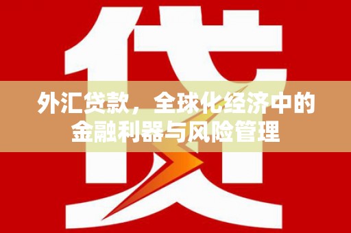 秀林外汇贷款，全球化经济中的金融利器与风险管理