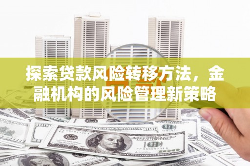 秀林探索贷款风险转移方法，金融机构的风险管理新策略