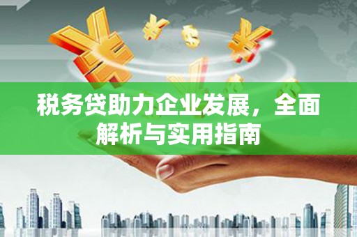 秀林税务贷助力企业发展，全面解析与实用指南