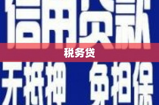 秀林税务贷