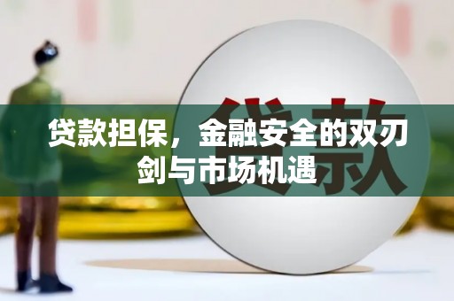 秀林贷款担保，金融安全的双刃剑与市场机遇