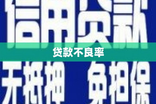 秀林贷款不良率