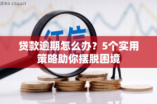 秀林贷款逾期怎么办？5个实用策略助你摆脱困境