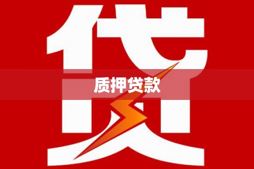 秀林质押贷款