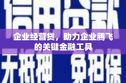 秀林企业经营贷，助力企业腾飞的关键金融工具