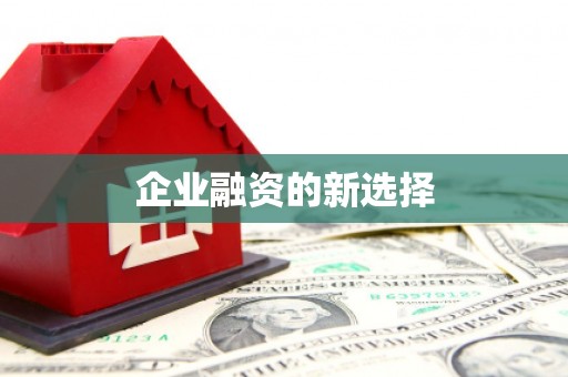 秀林企业融资的新选择