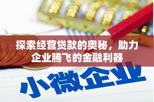 秀林探索经营贷款的奥秘，助力企业腾飞的金融利器