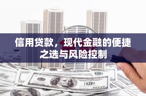 秀林信用贷款，现代金融的便捷之选与风险控制