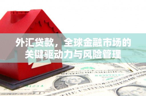 秀林外汇贷款，全球金融市场的关键驱动力与风险管理
