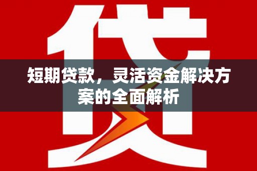 秀林短期贷款，灵活资金解决方案的全面解析