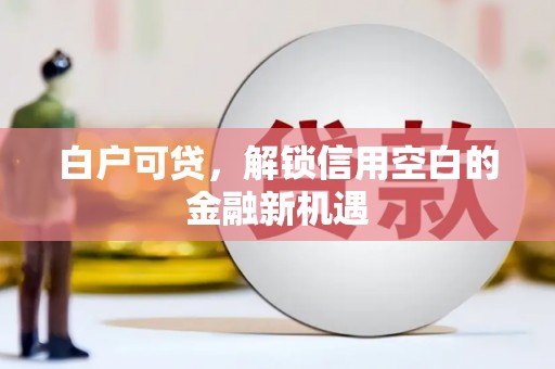 秀林白户可贷，解锁信用空白的金融新机遇