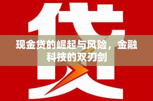 秀林现金贷的崛起与风险，金融科技的双刃剑