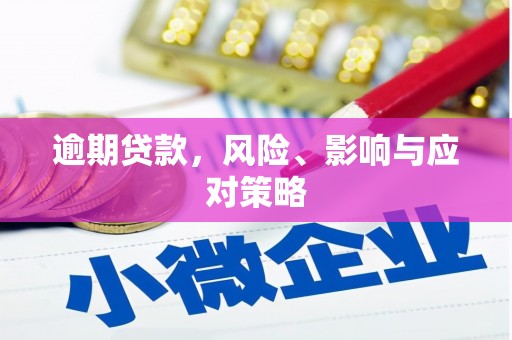 秀林逾期贷款，风险、影响与应对策略
