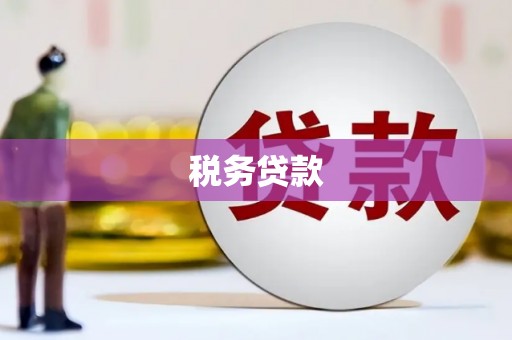 秀林税务贷款