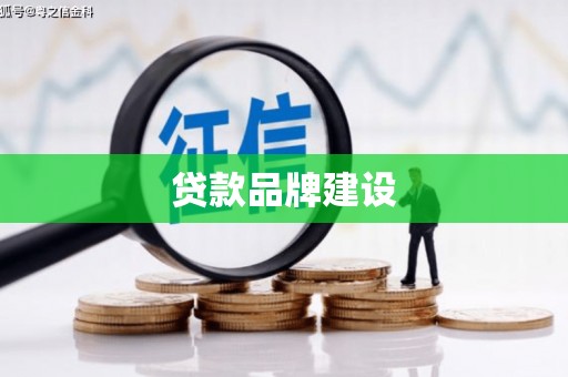 秀林贷款品牌建设