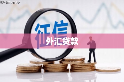 秀林外汇贷款