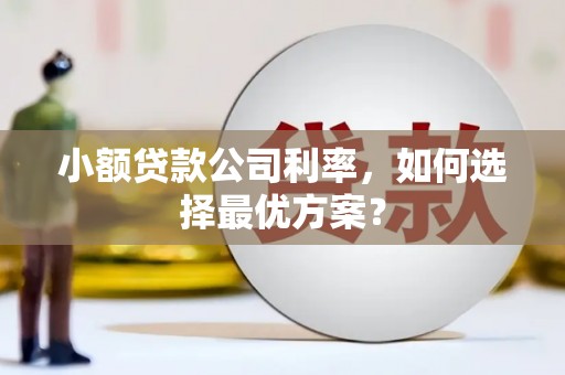 秀林小额贷款公司利率，如何选择最优方案？