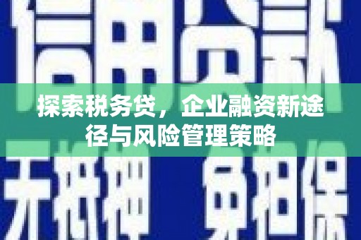 秀林探索税务贷，企业融资新途径与风险管理策略