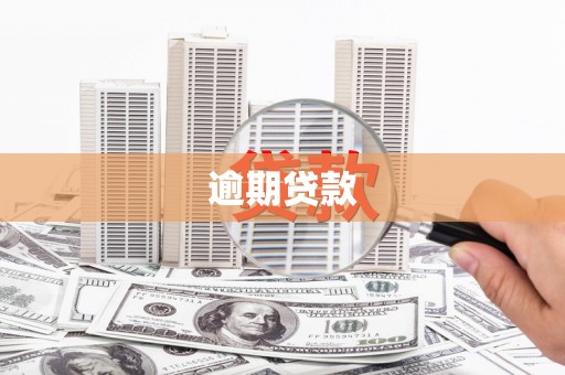 秀林逾期贷款