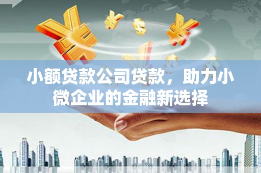 秀林小额贷款公司贷款，助力小微企业的金融新选择