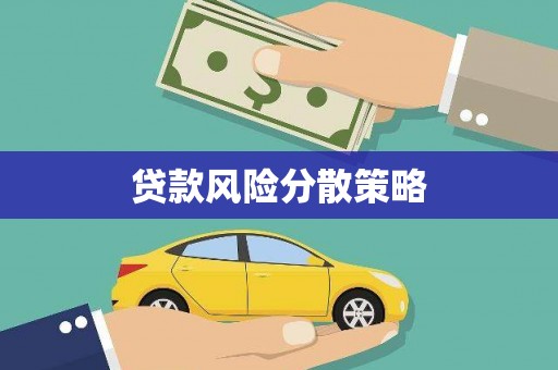 秀林贷款风险分散策略