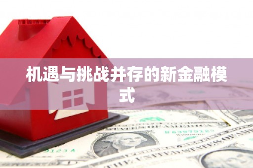 秀林机遇与挑战并存的新金融模式