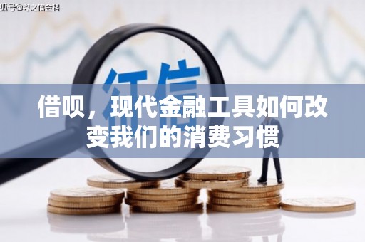 秀林借呗，现代金融工具如何改变我们的消费习惯