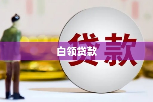 秀林白领贷款