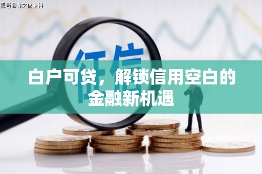 秀林白户可贷，解锁信用空白的金融新机遇