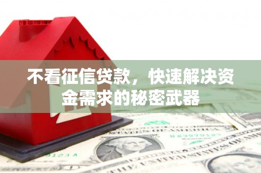 秀林不看征信贷款，快速解决资金需求的秘密武器