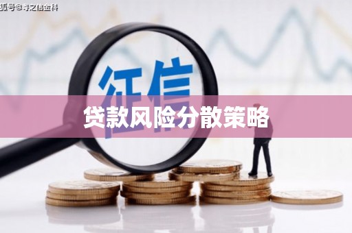 秀林贷款风险分散策略