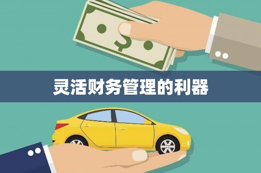 秀林灵活财务管理的利器