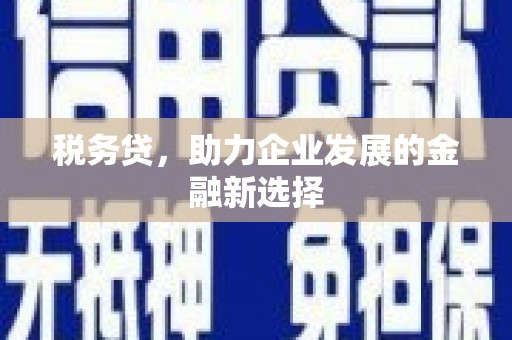 秀林税务贷，助力企业发展的金融新选择