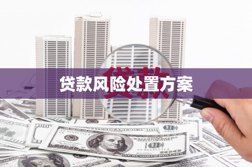 秀林贷款风险处置方案